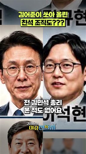 친석 없는 친석 조직도