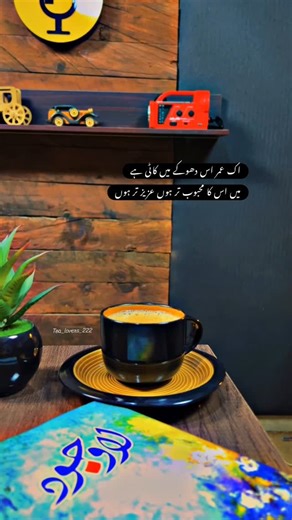 ‎وقاص چوہدری‎ on Instagram‎: "اک عمر اس دھوکے میں کاٹی ہے میں اس کا محبوب تر ہوں عزیز تر ہوں#reels #chailover #tealover #reelsinstagram #instagram #reelsindia #trendingreels #reelsviral #lahore"‎