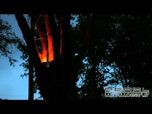 NX2012 - Projecteur à LED étanche - 16 couleurs RGB