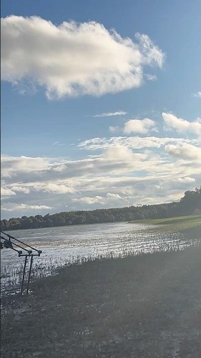 Carp fishing: Lake
