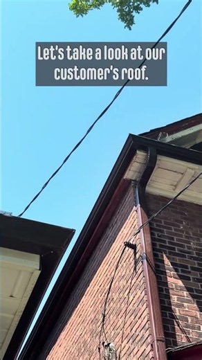 Every House on This Street Has Squirrel Damage… Here’s the Right Way to Fix It