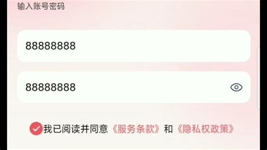 登录操作录屏演示