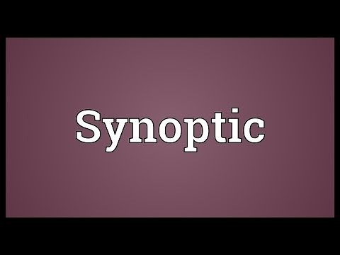 Synoptic Meaning