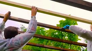 3 Formas de construir tu propia pérgola en un jardín: | En modo Madera