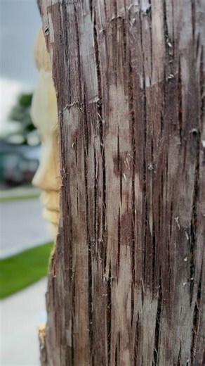 🧝‍♀️An Elven woman in an Elm tree. Still not done! #elf #elven #elves #elfgirl #wood #woodlover #finewoodworking #amazingwood #woodart #woodcarving #woodcarver #woodworking #beautifulwoodworking #handmade #handcarved #woodcarvings #woodsculpture #woodlovers #woodcraft #wooddesign #sculpture #sculptor #sculptorsofig #woodsculpture #winnipegart #winnipeg #Manitoba #manitobaart #winnipegart #artcollective | Lucas Kost Carvings