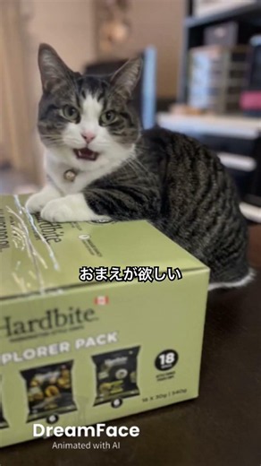 #悪魔がにくい #平田隆夫とセルスターズ #cat #猫のいる暮らし #歌 #歌詞有 #catvideos #昭和歌謡