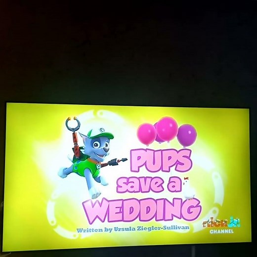Paw Patrol 2013 2022 S1 Pups Save a Wedding