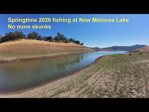 Springtime 2026 fishing at New Melones Lake