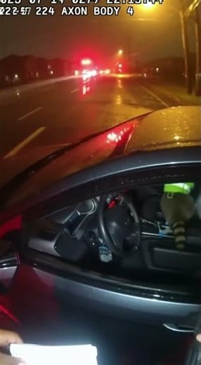 Raccoon Speeding? You Won't Believe This Escape! 🦝🚓 #bodycam #viralshort #funnyvideo #ai