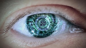 Unveiling our 5 Senses