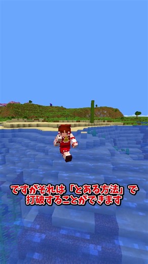 The best value for money Andromeda Bridge #shorts