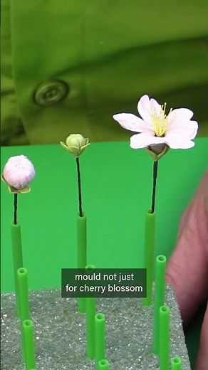 DIY Edible Flowers... 🌸