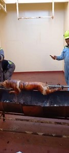 Cooking Lechon Board with Chef Marcus McGuinness