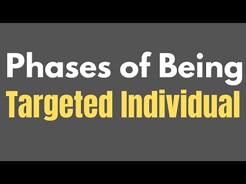 Phases of being a Targeted Individual - Gang Stalking