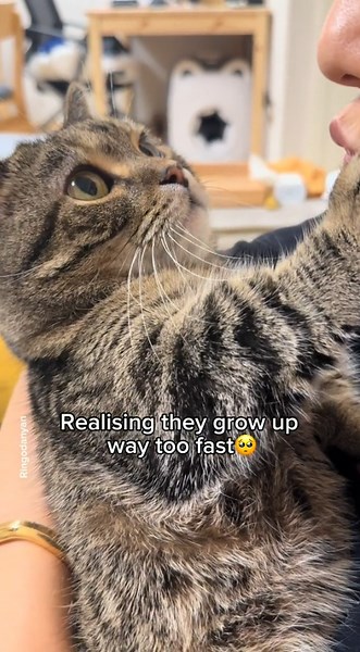 Watching My Baby Grow Up So Fast