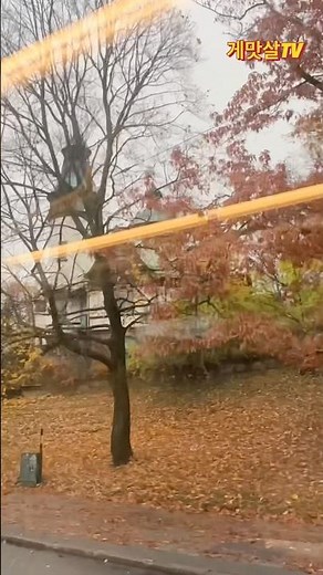 파리보다 멋진 비오는 스톡홀름 트램밖 풍경#스톡홀름#스웨덴여행 #유럽여행