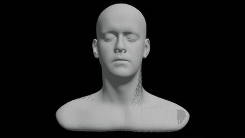 clip-3969058469-3d-animation-human-head-bust-digital-wireframe