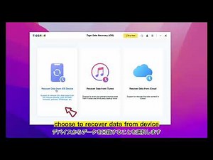 Tiger Data Recovery - チュートリアル
