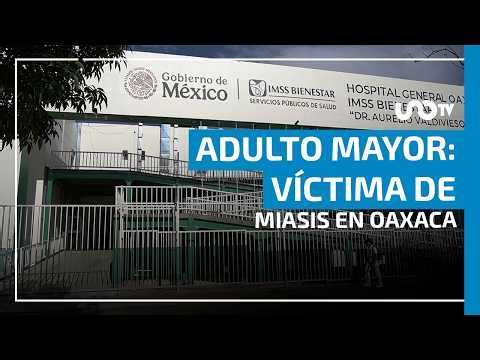 Larvas incubaron en maxilar del adulto mayor que murió por miasis en Oaxaca