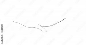 Vector line art video blue whale. whale animation video. single-line blue whale motion video. whale 4k video