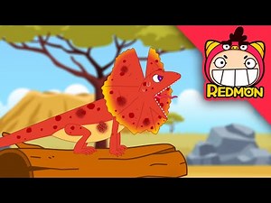 Save the Frilled-neck Lizard | Animal Rescue Team | 4K cartoon | REDMON