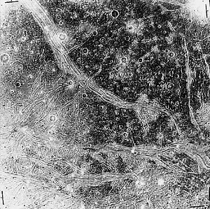 Ganymede City - Alchetron, The Free Social Encyclopedia