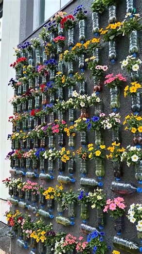 Wall Garden with Plastic Bottles 🌸 | DIY Vertical Flower Garden for Small Spaces