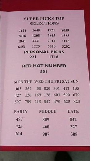 Shirley's in under 60 Seconds 🐔 Lottery Suggestions Sheet December 2025