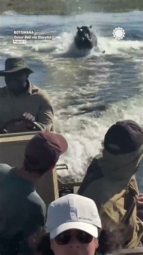 Close Call: Hippo Attacks Our Boat in Botswana