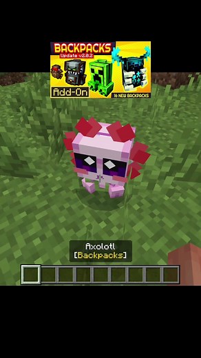 BACKPACKS ADDON MINECRAFT BEDROCK