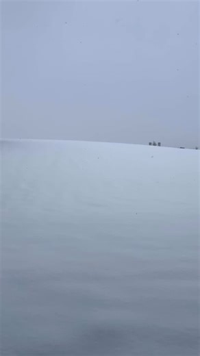 Congratulations on getting thru this snowy Monday in Calgary…😰 | Virgin Radio Calgary