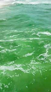 17K views · 173 reactions | Looking for the ultimate beach day spot?...