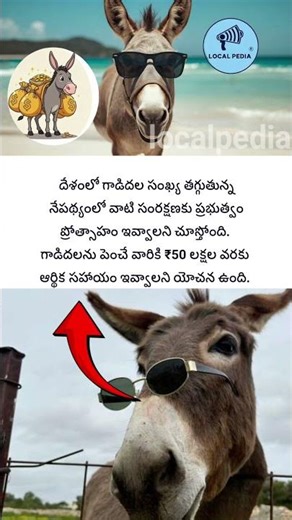India to Offer ₹50 Lakh Incentive for Raising Donkeys? 🫏💰