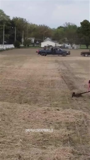 Framing Techniques for Modern Agriculture in the USA
