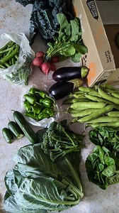 Recipe ideas for in-season veg! Emily shares suggestions for all the veg in a large veg box, from garden peas, to summer greens, aubergine, radish and more. What's your favourite summer vegetable? #LiveLifeOnTheVeg | Riverford