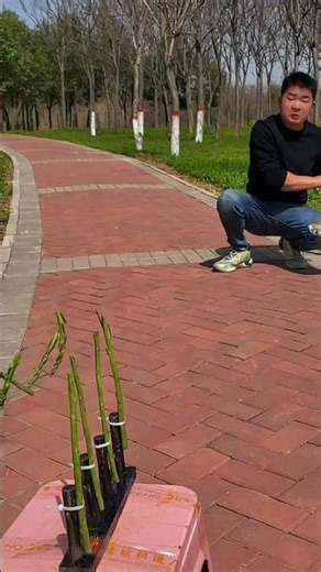 A compilation of outdoor card throwing games! #cardthrowing