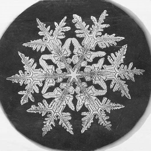 Snowflakes under a Microscope - Careful Preparation and Observation