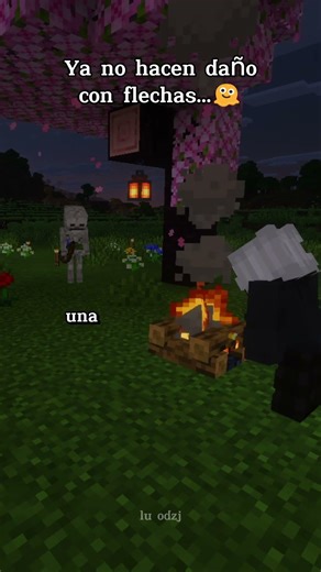Ya no hacen daño con flechas... 🫠 #minecraft #minecraftmemes #minecraftbuilds #fyp #shorts