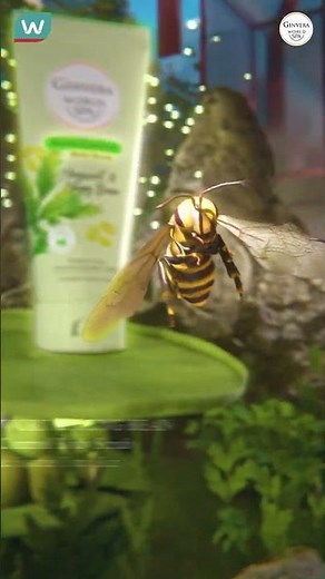 Glow the spa way with the NEW Ginvera World Spa Body Scrub