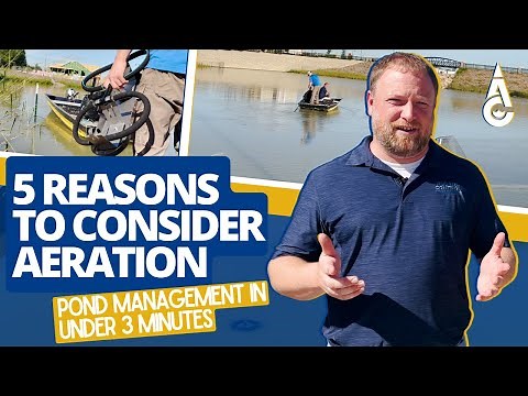 5 Reasons To Add Aeration To Your Pond | Pond/Lake Management In 3 Minutes