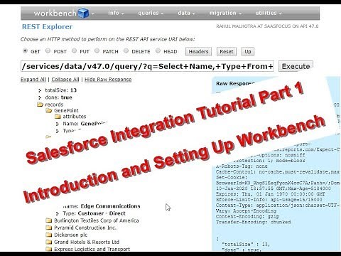 Salesforce Integration Tutorial Part 1 - Introduction and Setting up Workbench