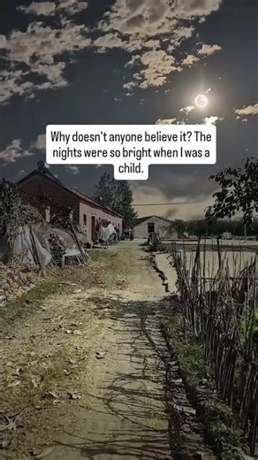Why doesn't anyone believe it? #trending #villagelife #nature #reels #thenight1m