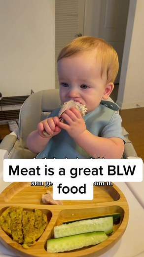 Introducing Meat to Your Baby: A BLW Friendly Option