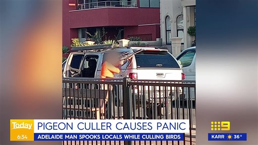 8.6K views · 55 reactions | Residents in Adelaide's south-west were given a scare after spotting a worker with a gun culling pigeons.  #9Today | WATCH LIVE 5.30am | TODAY | Facebook