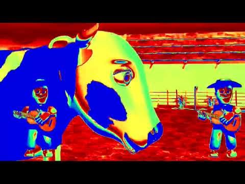 La vaca lola Canciones de la graja y Zenon.Detecta los diferentes efectos.parodia videos.