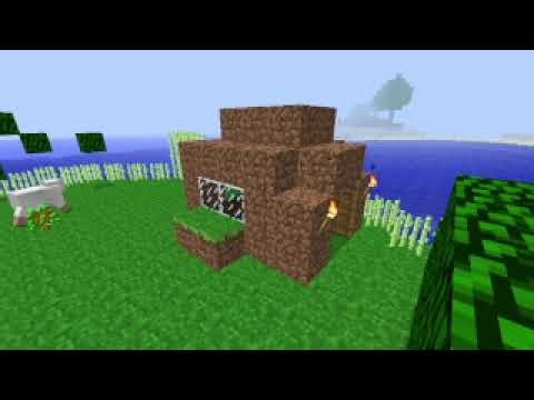 Test video (144p quality)