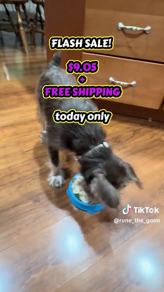 Today, 03/11/26 only! $9.05 plus free shipping. Prices change and vary. Tap the link to check yours. This is our favorite slow feeder! #slowfeeder #interactivedogtoy #healthydogfood #tiktokmademebuyit #minischnauzerpuppy