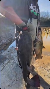 Epic day on the Cape Fear River! | 4REEL Fishing