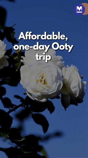 Heading to Ooty this summer? Budget-friendly tour