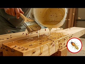 Only from recycling! For life, you no longer have to fear termites damaging the wood in your home